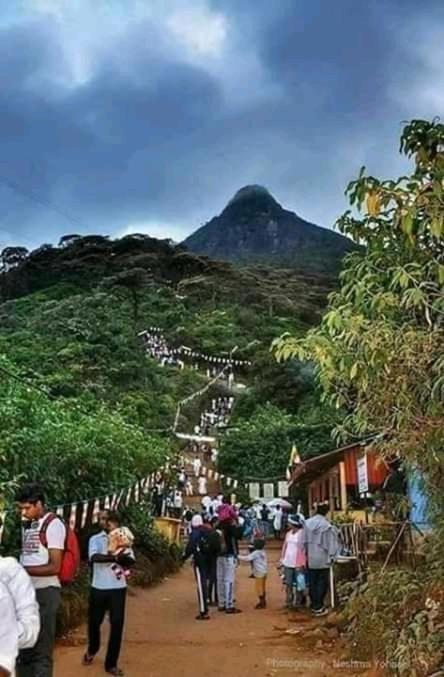 ナラタニヤ Lily Adam'S Peak Bed & Breakfast エクステリア 写真