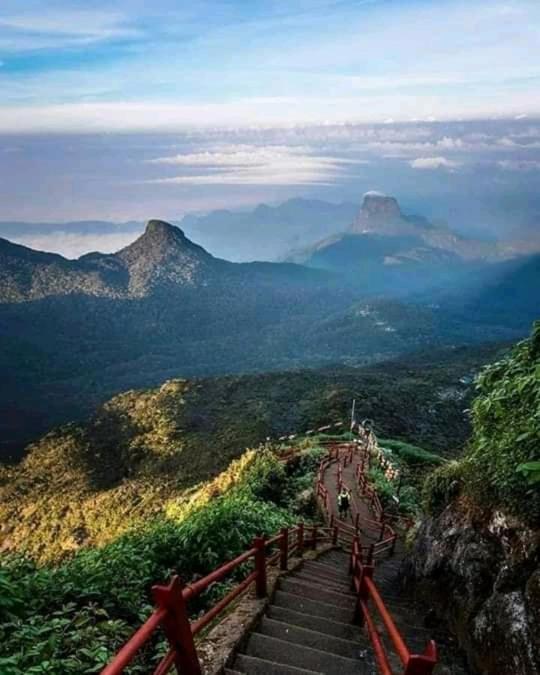 ナラタニヤ Lily Adam'S Peak Bed & Breakfast エクステリア 写真