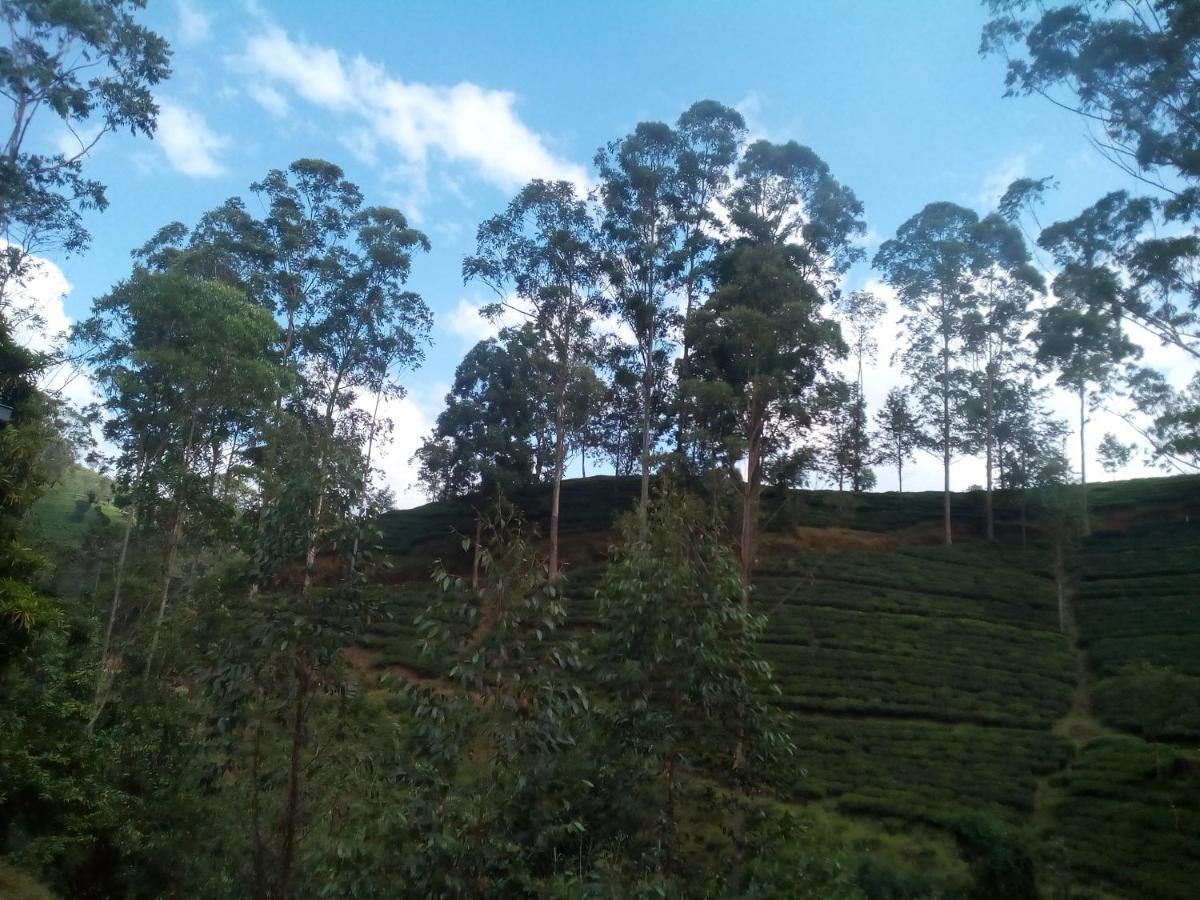 ナラタニヤ Lily Adam'S Peak Bed & Breakfast エクステリア 写真